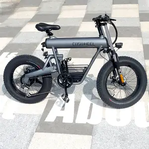 500w 48V 20Ah E Scooter Electric Motorcycles Electric Disc Brake Electric Bicycle for Sale