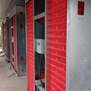 Hệ thống chuồng nuôi gà công nghiệp kiểu H hiện đại, sản xuất trứng, sẵn sàng giao hàng, chuồng mới và đã qua sử dụng cho gia cầm - Product Image 6