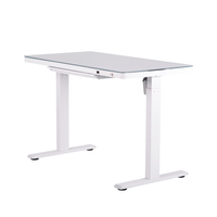 Bureau d'ordinateur en verre moderne réglable à moteur unique Table élévatrice de bureau durable Rangement confortable Bureau debout Bureau d'ordinateur