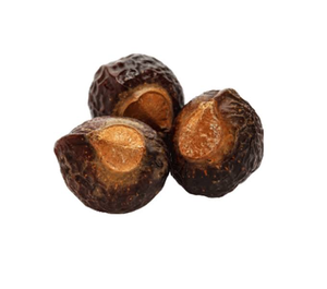 Sapindus Mukorossi Séché en Vrac, Fruits Botaniques Soigneusement Sélectionnés, Qualité Alimentaire Naturelle, Cultivation Artisanale - Product Image 4