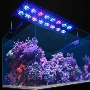 240W Full Spectrum LED Coral Reef Light con doppio canale dimmerabile per LPS SPS Marine Fish Saltwater Tank (180W)