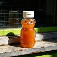Bouteille de miel en forme d'ours en PET de qualité alimentaire, 250 ml, 350 ml, 8 oz, 12 oz, avec bouchon à clipser anti-fuite pour sirop, sauce, condiment – Vente en gros