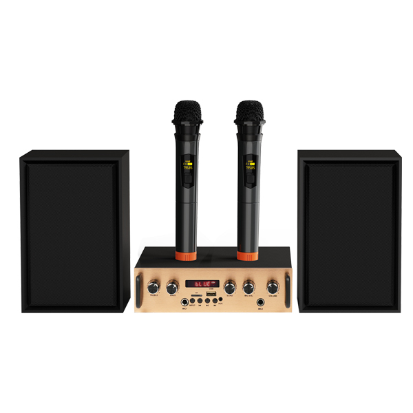 Audmic Factory OEM Multimedia Karaoke Audio Bluetooth Power Amplifier Speaker
