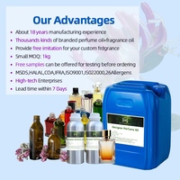 Ventes directes d'usine Échantillon gratuit Parfum de marque célèbre en vrac Huile parfumée de créateur hautement concentrée
