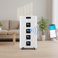 Paquete de Baterías LiFePO4 Apilables de 15 kWh para Montaje en Pared, 48 V 300 Ah, BMS Integrado, >6000 Ciclos, Almacenamiento de Energía Solar para el Hogar, UN38.3/CE/IEC