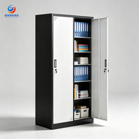 Meuble de classement vertical pliable en acier verrouillable à 2 tiroirs, design moderne, pour documents format légal/lettre, idéal pour la maison, la salle de sport ou l'extérieur