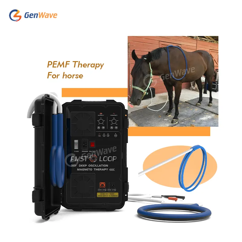 2024 Equine Pads PMST LOOP Physio Magneto PEMF Magnetic Therapy Device Machine Physio Therapy Equipment for Pain Management