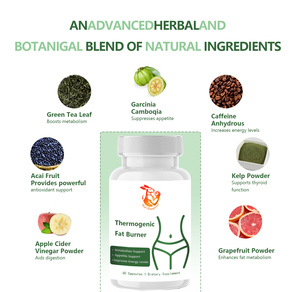 Premium High Weight Loss <b>Pills</b> for Appetite Suppressant Boost Energy Function Thermogenic Fat Burner Capsules with Green Tea - Product Image 5