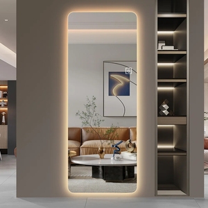 Modern Rectangular Frameless <strong>Silver</strong> Hotel <strong>Bathroom</strong> LED Wall &amp; Floor Stand Full-Body Length <strong>Mirror</strong> with Lights - Product Image 1