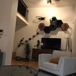 Ensemble de 8 articles : trappe <span class=keywords><strong>pour</strong></span> <span class=keywords><strong>chat</strong></span>, étagères murales, décoration murale moderne, mobilier <span class=keywords><strong>pour</strong></span> <span class=keywords><strong>chat</strong></span>, lit <span class=keywords><strong>pour</strong></span> <span class=keywords><strong>chat</strong></span>, étagère en bois, abri <span class=keywords><strong>pour</strong></span> animaux, maison <span class=keywords><strong>pour</strong></span> chaton - Product Image 2