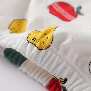 Sacs à couches lavables en coton imprimé Hunan pour bébés, respirants, avec protection anti-fuite, surface sèche, culottes d'apprentissage lavables pour bébés - Product Image 3