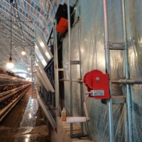 Cages de Poulets de Batterie Automatiques Type H à Bon Prix pour Poules Pondeuses d'Élevage