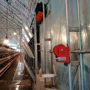 İyi fiyat H tipi otomatik yumurta tabakası tavuk çiftliği döşeme tavukları kanatlı batarya kafesleri - Product Image 5