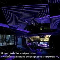 Lumière ambiante panoramique pour BMW Série 5 G60, éclairage ambiante pour toit et fenêtre de voiture