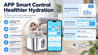 Fontaine automatique intelligente sans fil pour chats et chiens, compatible CE FCC RoHS UN38.3, OEM ODM pris en charge, pour plusieurs animaux domestiques, pompe silencieuse, utilisation domestique