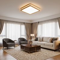Lampe LED carrée contemporaine en fer forgé et acrylique, à changement de couleur, lumière chaude, respectueuse des yeux, télécommande, alimentation CA, indice IP66, pour chambre à coucher