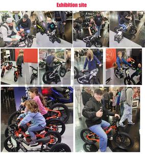 2025 enfants vélo électrique E Bike 250W 36V 10.0AH 20 "FXB Style Mimi enfants Cross vélo d'équilibre électrique - Product Image 6