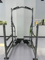 Équipement de fitness robuste pour l'entraînement de force, sans entretien, en tube d'acier, rack à squats et barre de traction pour la musculation