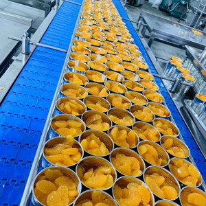 Lata de fruta sazonada orgánica, naranja <span class=keywords><strong>mandarina</strong></span> enlatada en almíbar ligero - Product Image 6