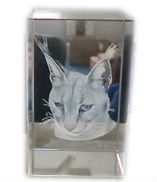 Nouvelle machine de gravure laser interne 2D/3D mini verte, modèle 2026, très populaire |   Longueur d'onde de 532 nm, type fermé pour verre et cristal