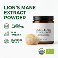 Poudre d'extrait double de Crinière de lion, Bêta-D-Glucane 30%, Biologique USDA, Corps fruiteur, Soutien cognitif, 100g, Marque privée OEM