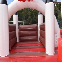 Château gonflable de qualité commerciale pour les fêtes d'enfants et les parcs d'attractions