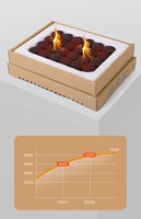 HISPEED Gril de barbecue jetable instantané Gril à charbon de bois jetable en acier inoxydable portable