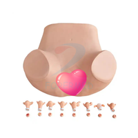 Simulateur d'examen GYN de modèle de formation de diagnostic interne gynécologique avancé pour la formation d'OB GYN