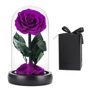 Preserved roses in glass Glass domes wholesale suppliers Preservatives rose gift Eternal rose preserved flower