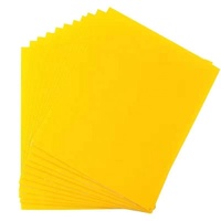 Plaques collantes jaunes écologiques non toxiques, double face, haute viscosité, non séchantes, aide à la lutte antiparasitaire