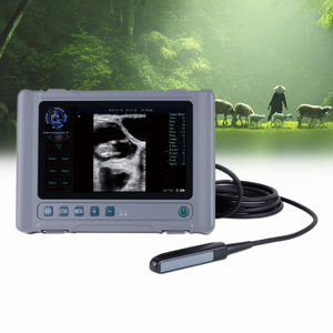 Ecógrafo Veterinario Portátil para Perros, Escáner <span class=keywords><strong>de</strong></span> Ultrasonido para Animales, Eléctrico, con Certificación CE, <span class=keywords><strong>Precio</strong></span> <span class=keywords><strong>de</strong></span> Ecógrafo Portátil, 2 Años <span class=keywords><strong>de</strong></span> Garantía - Product Image 1