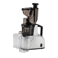 Sapcentrifugaal Sapcentrifugaal Voor Fruit En Groenten