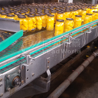 Conservenproductielijn Verwerkingsapparatuur Speciaal Fruit Ingeblikt Gele Perzik Ingeblikte Verpakkingsmachines