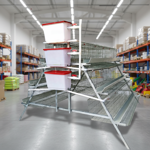 <span class=keywords><strong>Gallinero</strong></span> para 500 gallinas, 4 niveles, <span class=keywords><strong>tipo</strong></span> A/D/H, equipo de avicultura para ponedoras, jaula para pollos, venta para granja avícola - Product Image 1