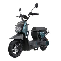 Vélo électrique, moto électrique, E Ride Pro Moto Electrica, vélos électriques pour adultes