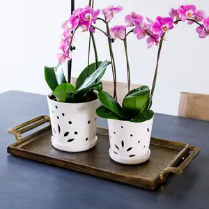 Pot d'orchidée en céramique avec trous, conteneur de fleurs rond en céramique blanche, jardinière de plantes succulentes, pots papillon pour orchidée