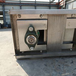 Nuovo Sistema di Raccolta e Trasporto Automatico del Letame Avicolo con Nastro Trasportatore e Struttura in Acciaio - Product Image 6