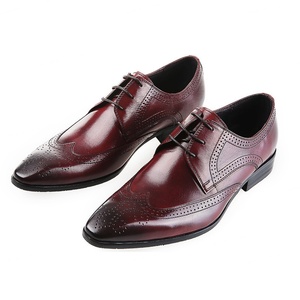 Chaussures en cuir pour hommes de style britannique avec motif gaufré, chaussures de travail pour hommes, chaussures en cuir décontractées de haute qualité, grandes tailles - Product Image 3