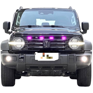 Venta de Autos Usados en China, GWM 2024 4WD Tank 300 Roader 2.0T Explorer, Volante a la Izquierda, Turbo R18, Gasolina, Tejido, Más Económico - Product Image 3