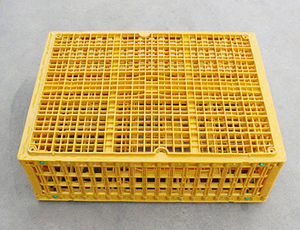 Accessori pollaio plastica resistente tre porte cassa di pollame per azienda avicola - Product Image 4