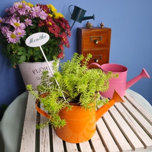 <span class=keywords><strong>Mini</strong></span> <span class=keywords><strong>arrosoir</strong></span> à pois galvanisé personnalisé pour décoration de jardin d'enfants - Product Image 6