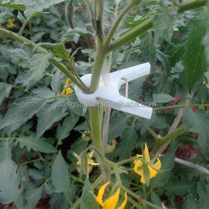 Un outil indispensable pour les planteurs de vignes Clips robustes durables et ravissants Clips de support de croissance de vigne de Fruits - Product Image 5