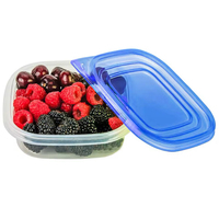 OEM Plastic Herbruikbare Koelkast Opbergbox Keuken Gebruik Voedselveilige Eieren Fruit Groente Snack Opbergcontainers