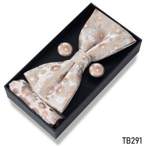 Juego de Corbata de Moño y Pañuelo de Bolsillo de Lujo FX, Coloridos, en Caja de Regalo, de Poliéster, para Hombre - Product Image 5
