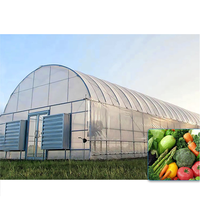 Serre agricole en plastique UV commerciale, serre en métal, horticulture, serre tropicale, prix
