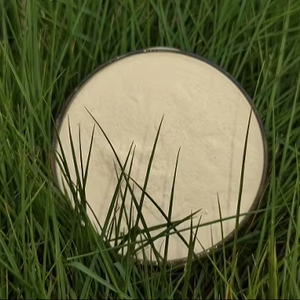 Ventes 50% acide aminé bonsaï <span class=keywords><strong>engrais</strong></span> poudre <span class=keywords><strong>organique</strong></span> à prix compétitif - Product Image 2