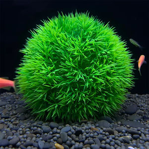 Fournitures de réservoir de poissons décoration d'<span class=keywords><strong>aquarium</strong></span> boule d'herbe <span class=keywords><strong>aquarium</strong></span> simuler plante <span class=keywords><strong>aquarium</strong></span> poisson jouet paysage écologique - Product Image 6