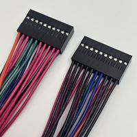 Kabel Jumper Dupont Panjang Kustom 5Pin 2x5 2x10 Kabel Konektor Warna Pita Kabel Harness Kustom