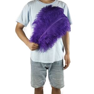 Plumas Grandes de Avestruz de Alta Calidad de 45 cm a 50 cm de Longitud, Plumas Teñidas de Colores para Vestuario de Escenario, Decoraciones de Boda y Proyectos de Manualidades - Product Image 3