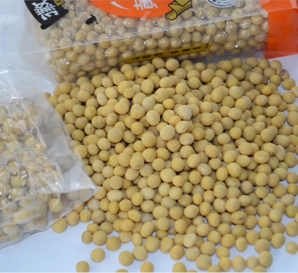 Sprouting And Food Grade Yellow Soybeans Top Quality Dry Soya Beans Non-gmo Soybean